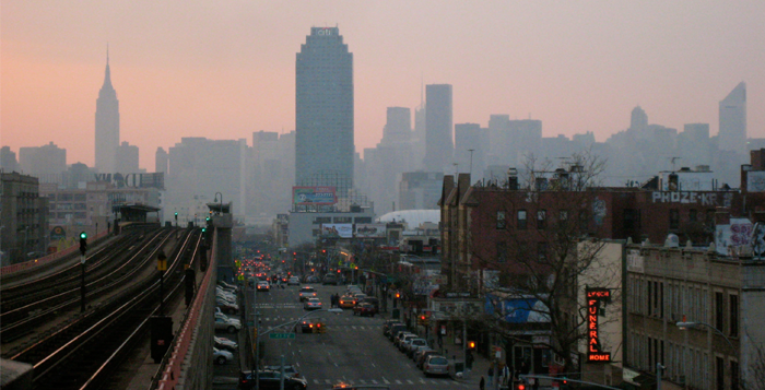 Dana Maria Dezotell: Porci“, „diluri“ pentru „biluri“ și „saboiul“